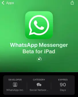 WhatsApp Beta for iPad
