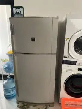 Kulkas sharp 2 pintu