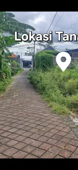 Di jual tanah jalan Darmasaba, Badung, Bali