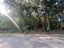BUC. Tanah Murah 5 are. Link Perum Bupati Badung.