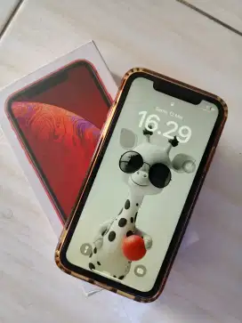 JUAL IPHONE XR 4/64