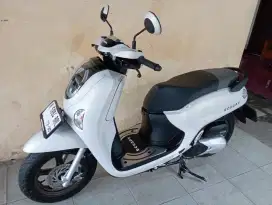 HONDA SCOOPY PRESTIGE 2025 NEW MODEL LOW KM LIKE NEW