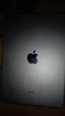 Ipad Air 2 Bekas