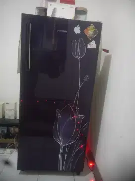 kulkas polytron