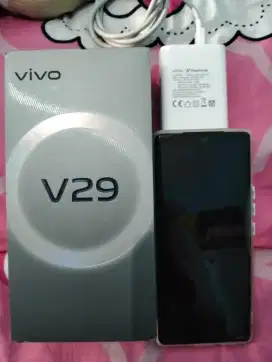 HP vivo v29 5G ram 12/512 gb