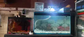 Aquarium Ikan Murah