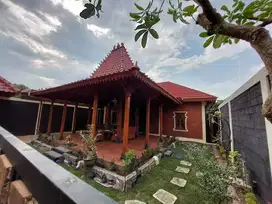 RUMAH JOGLO CANTIK DEKAT HOTEL HYATT DI PALAGAN SLEMAN