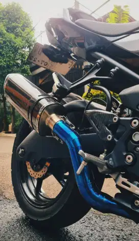 Knalpot Full Carbon All New Ninja 250 FI Universal