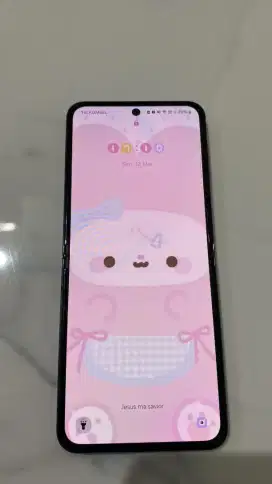 Samsung z flip 5 (512gb)