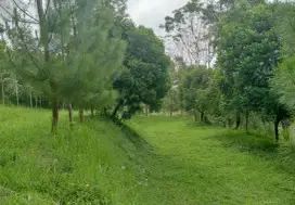 TANAH MURAH SAMPING WISATA DI CIWIDEY