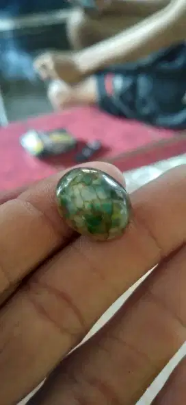 Batu akik. Sisik naga.