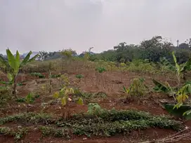 Tanah Kavling Standar Perumahan, Hanya 2,9 Km Transmart Yasmin Bogor