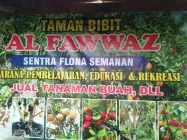 Menjual pepohonan dan pengobatan herbal