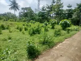 Dijual tanah di Desa Kutajaya, Benteng, Cicurug, Kab Sukabumi