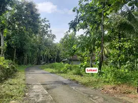 Tanah Murah Subur Tepi Jalan Dekat Bandara YIA