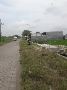 Tanah Kavling Murah