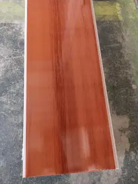 Plavon PVC Genius