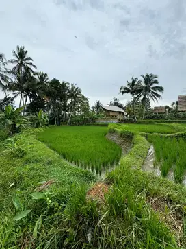 Tanah View Jungle di Ubud Dekat Tebing Sungai