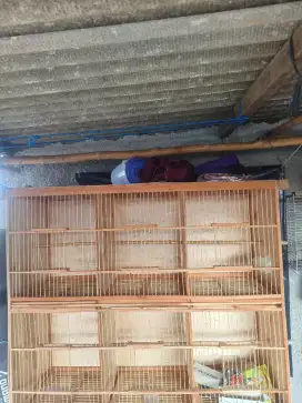 kandang burung susun