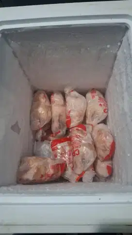 di jual freezer frozen food