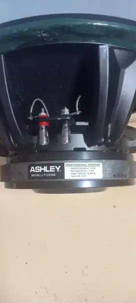 Speaker ashely original model lv12v300