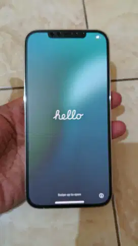 Iphone 12 Promax Inter 128GB