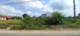 Tanah strategis di jl Godean km 7 dekat kampus UNISA