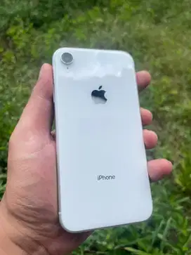 Iphone XR 128gb inter lama all operator