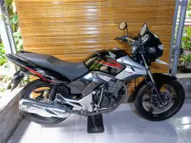 Tiger revo pece 2010