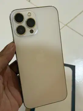 iphone 13 promax inter 128gb