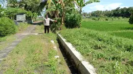 Jual tanah persawahan ada duwuranya