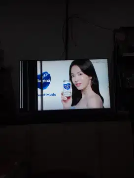 Sony Android tv 55 inci