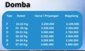 Jual hewan qurban (sapi dan domba)