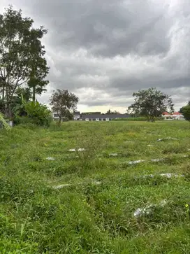 Jual Tanah Luas 3110 M² Di Lodtunduh Ubud Gianyar Bali