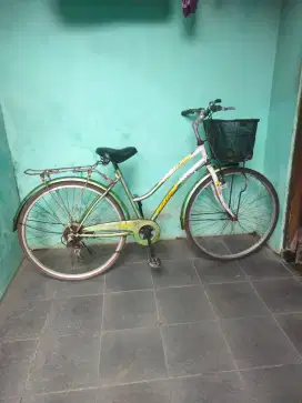 Sepeda dewasa siap pakai