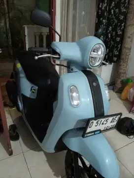 Fazzio Biru 2023