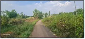 TANAH PONGPONGAN TUBAN 67679 ASSET BANK, CASH ONLY