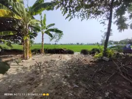 TANAH JATI JATEN