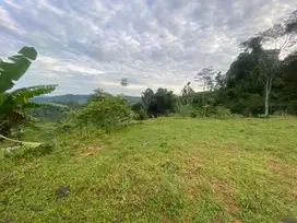 Tanah 3.200m2 Tegal view cantik utk private home resto cafe kebun farm