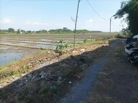 TANAH BUMI SUKO INDAH SIDOARJO 49973 ASSET BANK, CASH ONLY