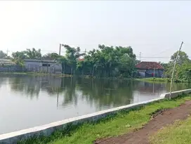 Tambak produktif