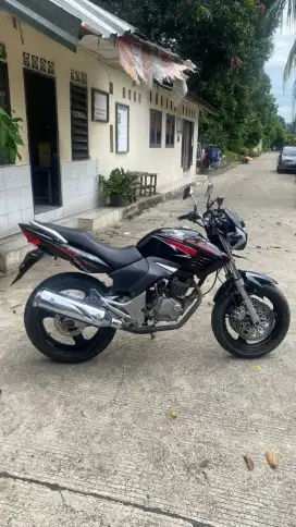 Honda Tiger 2005 Gambot