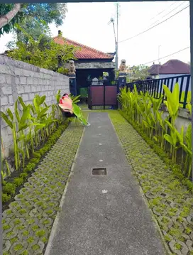 Di Jual Rumah Dekat stadion Dipta Gianyar dekat ke Ubud
