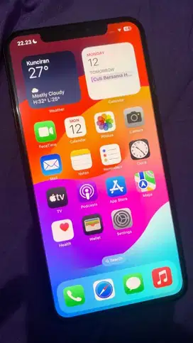 Iphone XS Max 256GB