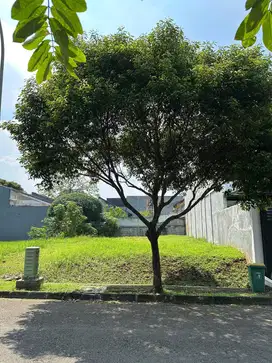 Kavling badan langka jarang ada SHM 240m² di Giriloka
