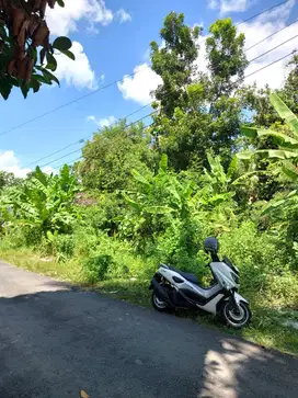 Tanah Pekarangan Apik di Argosari Sedayu
