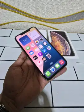 Iphone xs max 256gb ex ibok fullset mulus no minus