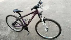 Sepeda Polygon Cleo 1.0