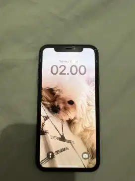 Iphone 11 128 Ibox