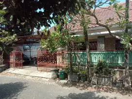 Rumah Hitung Tanah Papa Papa Dekat Kampus Brawijaya